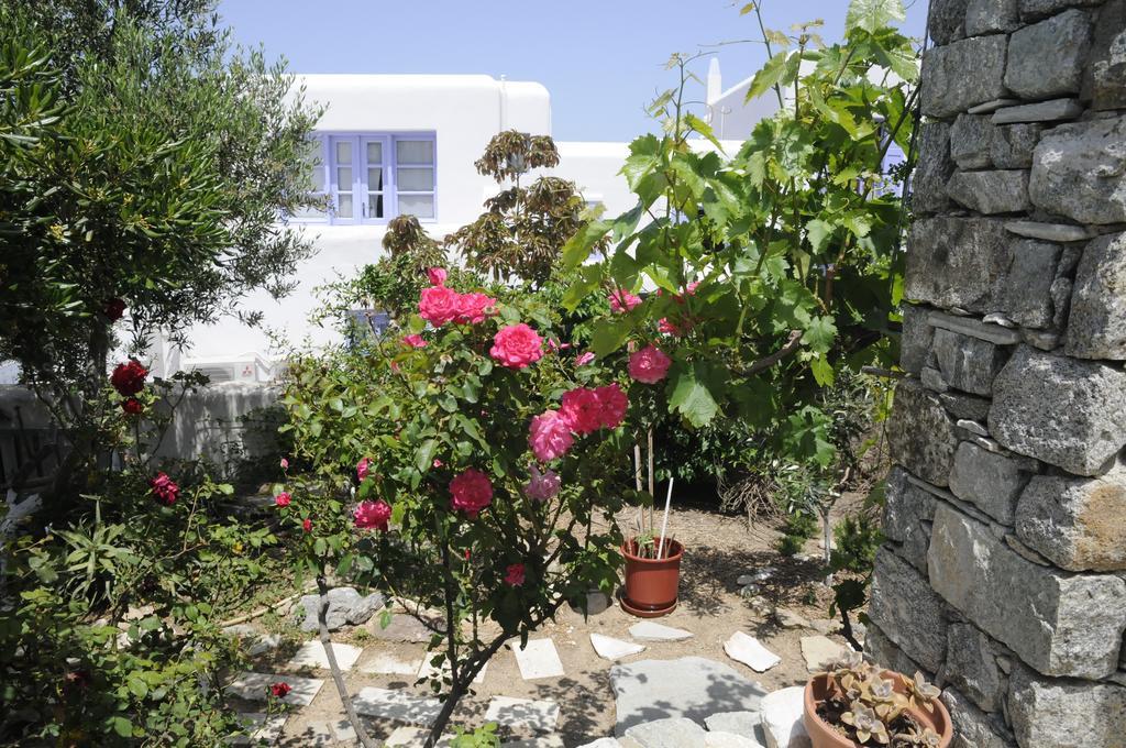 Andriani'S Guest House Mykonos Town المظهر الخارجي الصورة